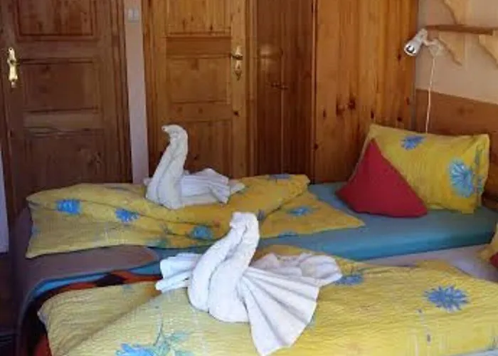 Отель Toldi Panzio 3*